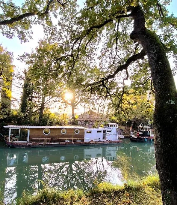 Πλωτό κατάλυμα Insolite Peniche Amazonie Canal Du Midi Gardouch
